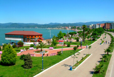 Siyasilerin Halat Çekme Yarışında Kazanan “Ordu” Oldu